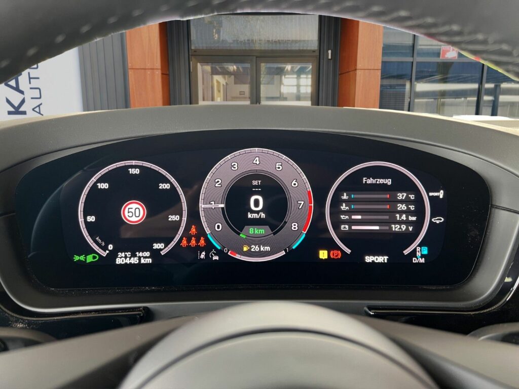 PORSCHE Cayenne S E-Hyb Sport Design Hinterachs Massage 10